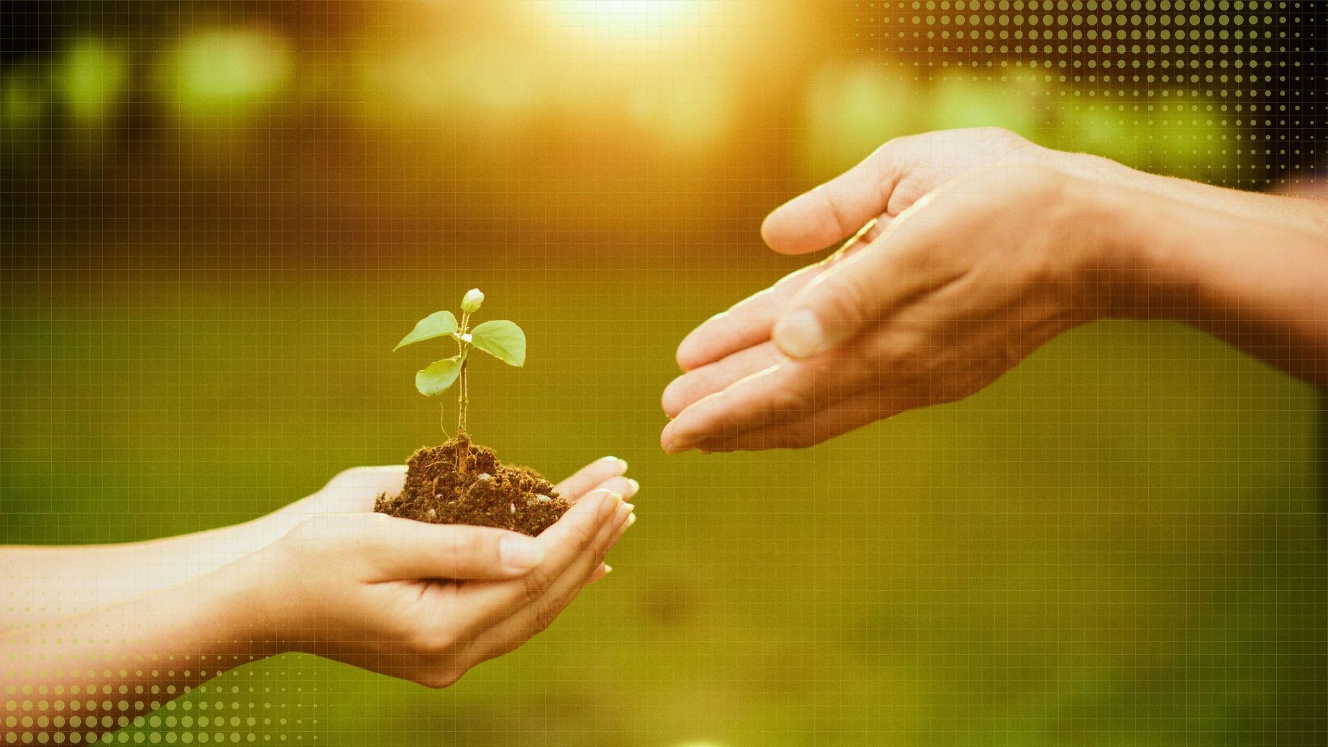 Conversion & Behavior Intelligence