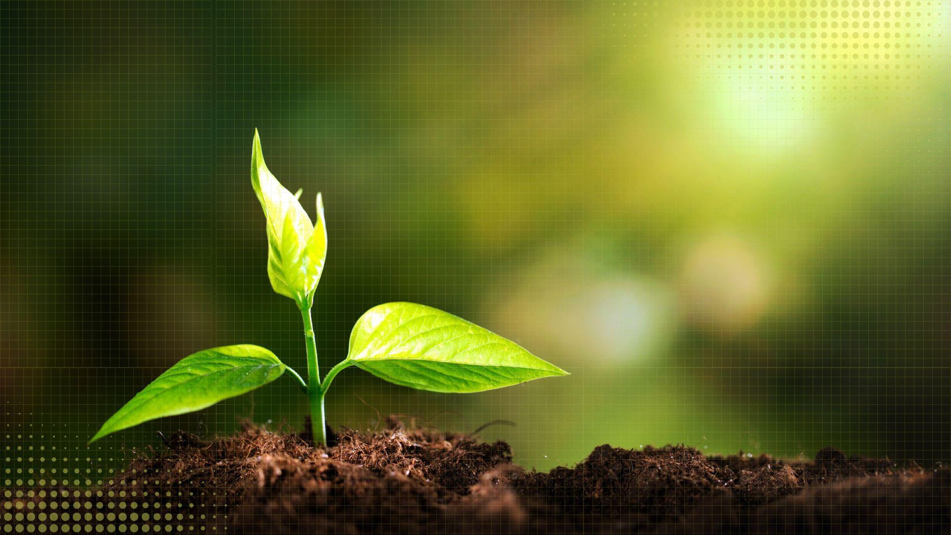 Always-on Monitoring