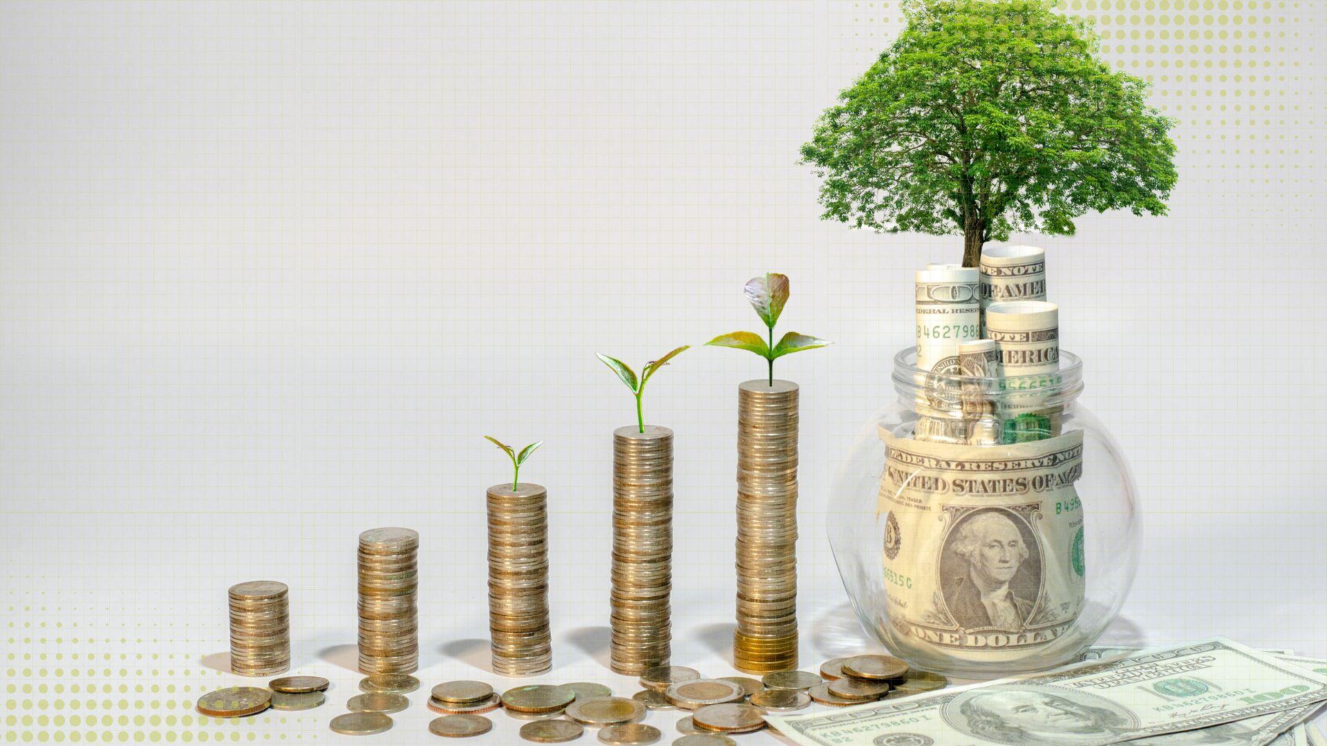 Content Research & Creation